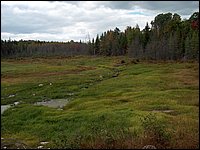 The Pond Drained 2.jpg