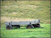 Wagon In Field.jpg