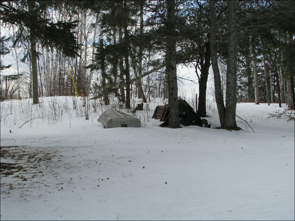 Img_0229.jpg