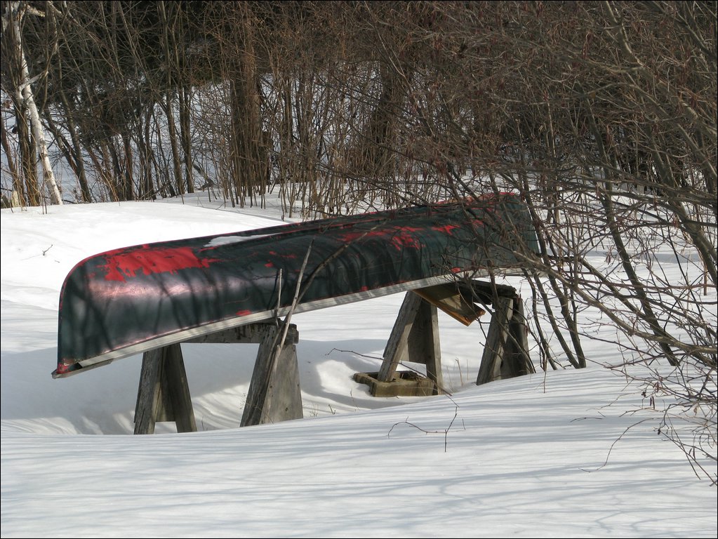Img_0234.jpg