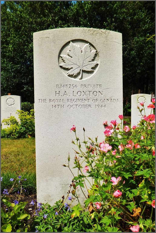 Loxton, Harvey 1.jpg