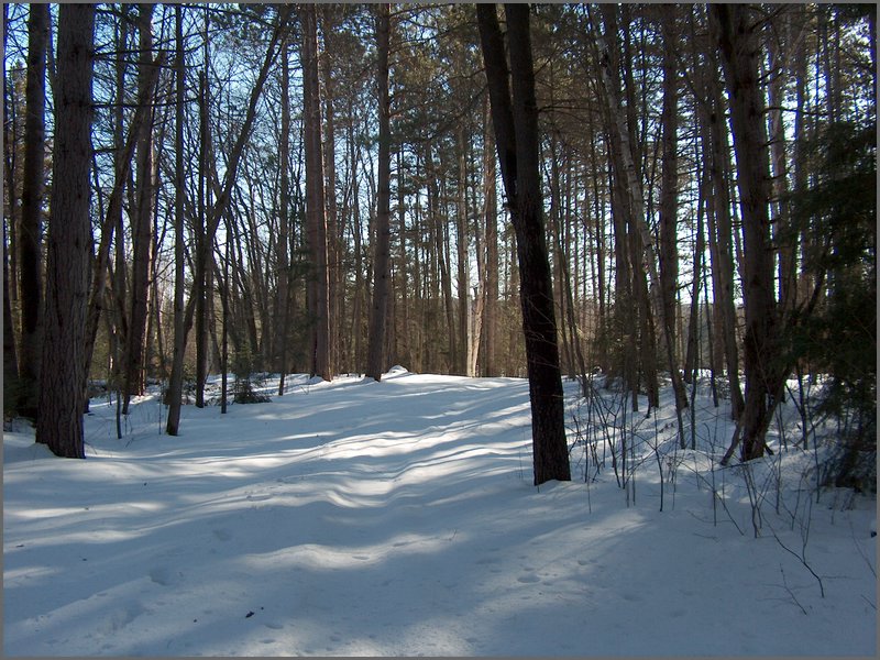Jan_28_2006_26.JPG