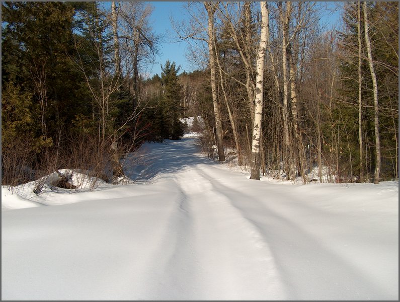 Winter_Road_38.jpg