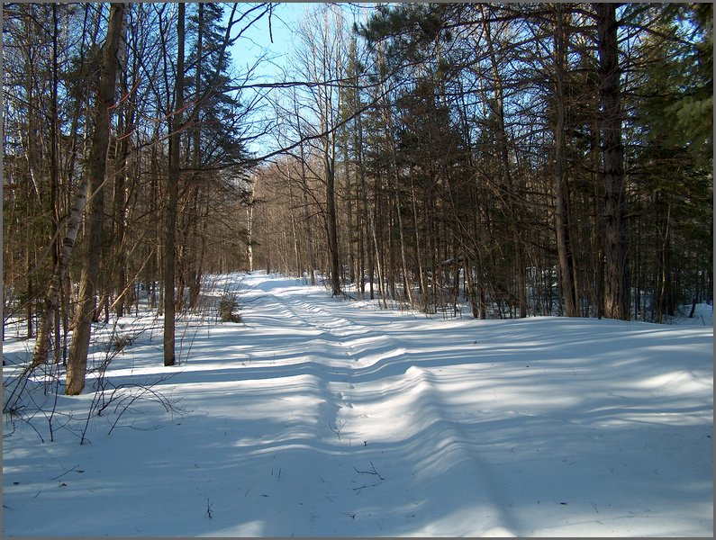 Winter_Road_90.jpg