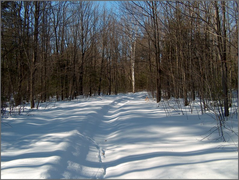 Winter_Road_97.jpg