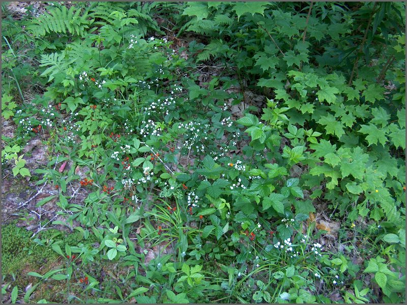 June 2006 29.JPG