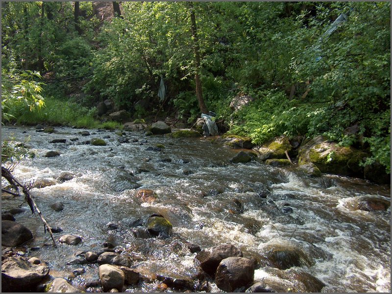 June Rain 2005 74.jpg