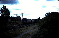 1982-08 Steam Train Powassan 18.JPG