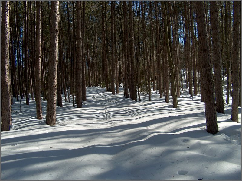 March 2006 40.jpg