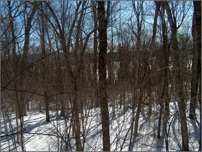 March 2006-22.jpg