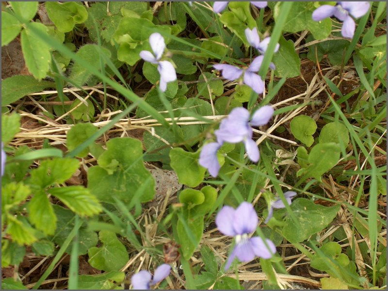 May 2006 53.JPG