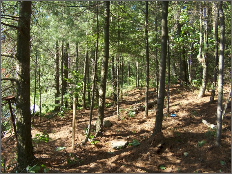 Mud Lake June 2004q.jpg