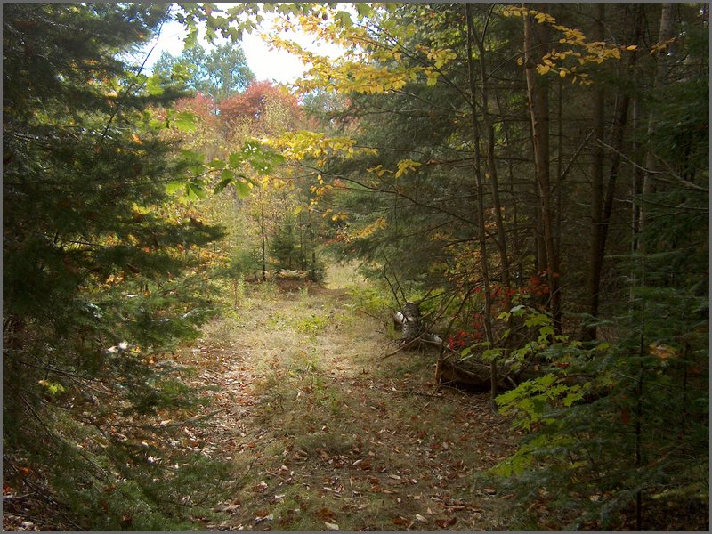 1665-Near Gravel Pit.jpg