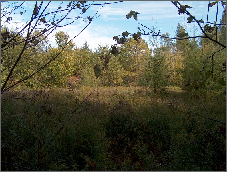 1721-Matt's Field.jpg