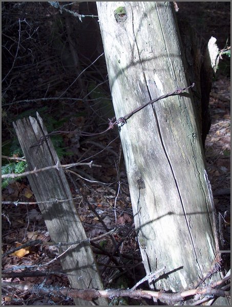 1722-Fence By Matt's.jpg