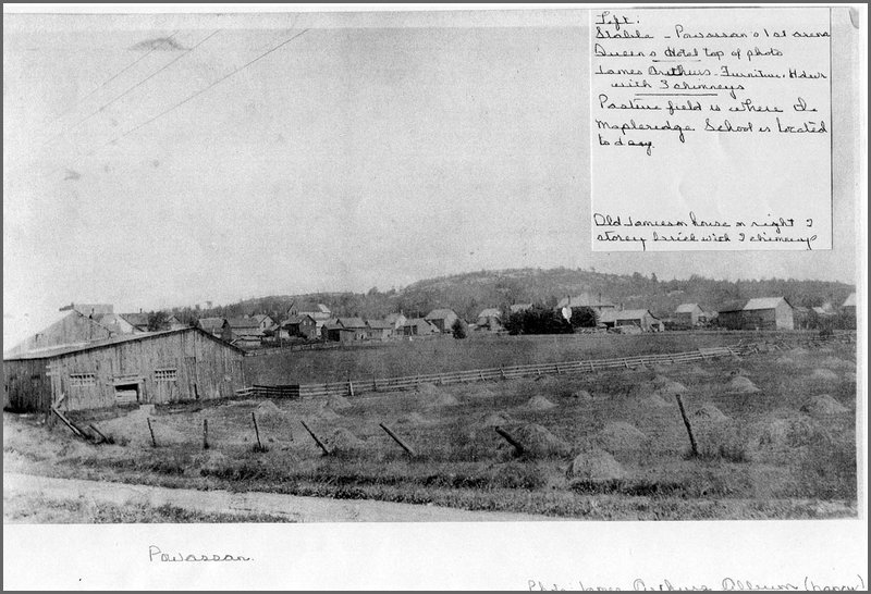 Powassan-7.jpg