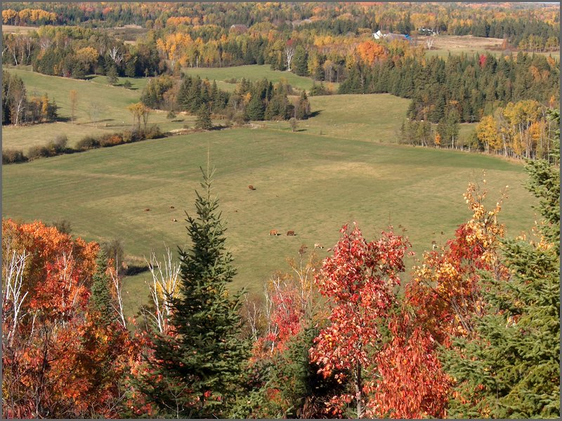 Fall 2004i.jpg