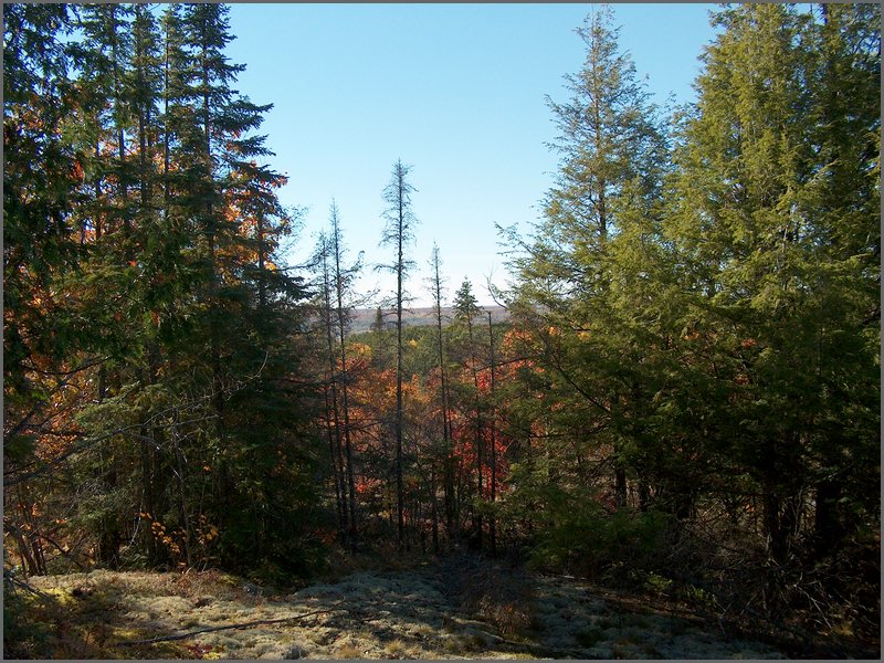 Fall 2004m.jpg