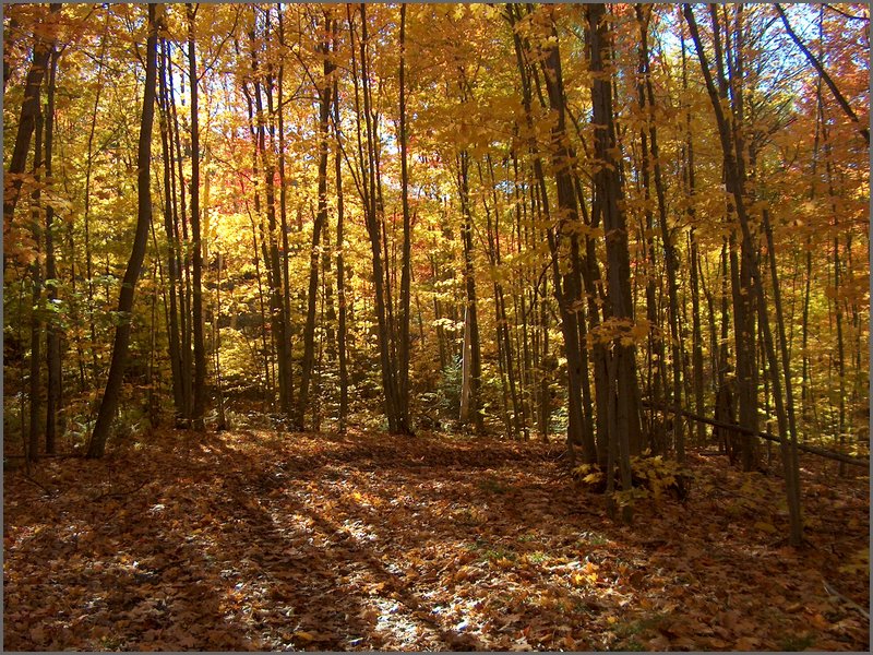 Fall 2004s.jpg