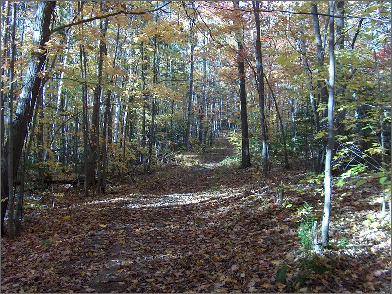 Fall 2004v.jpg