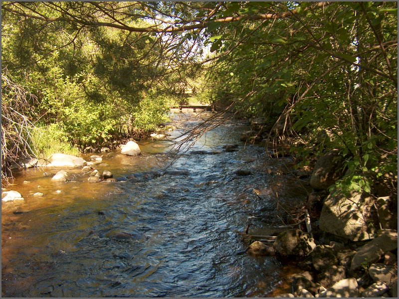 Genesee Creek  5.jpg