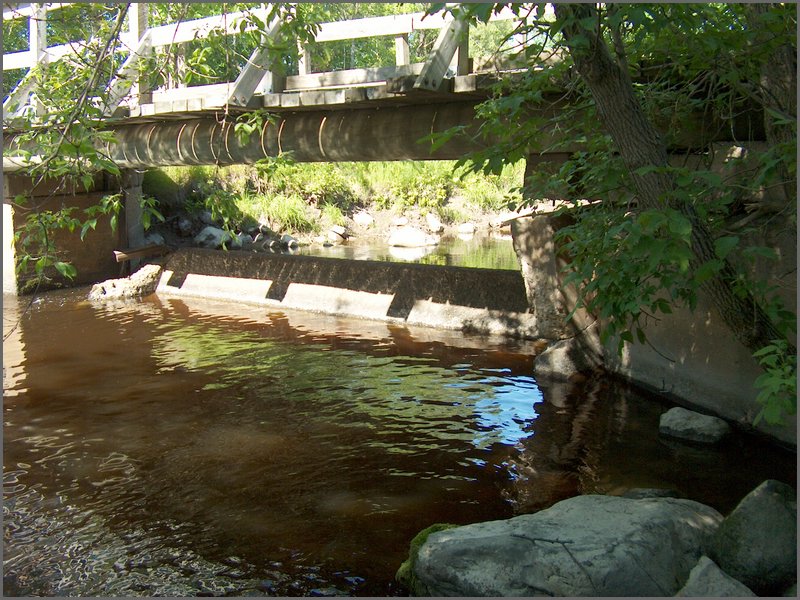 Genesee Creek  8.jpg