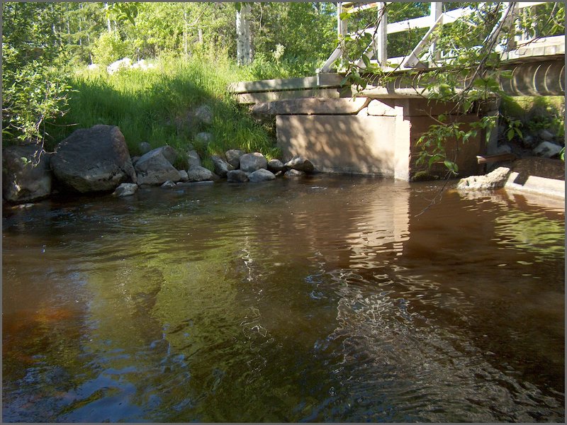 Genesee Creek 10.jpg