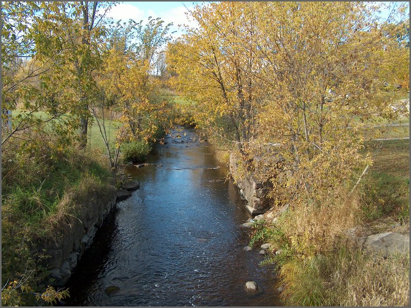 Genesee Creek 28.jpg