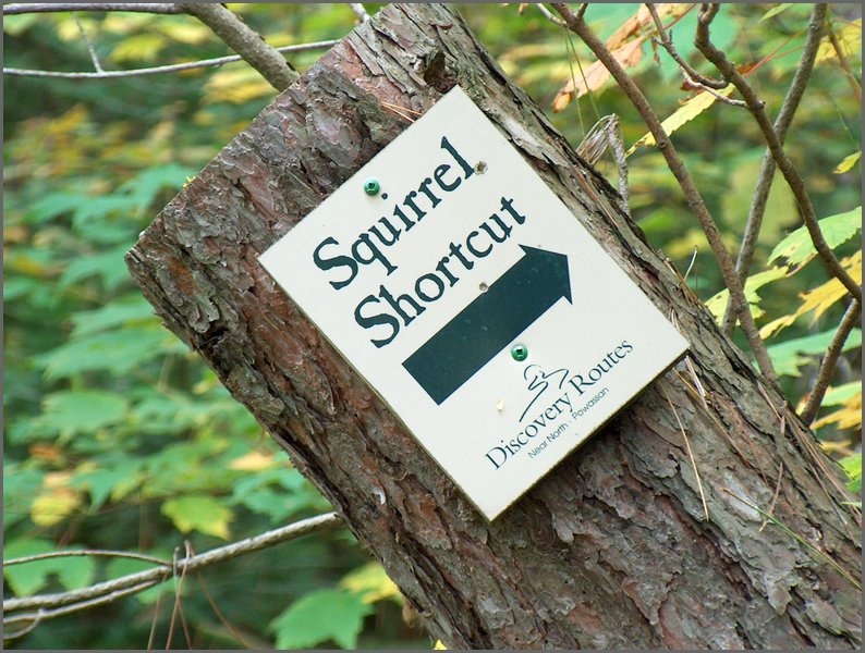 Squirl Shortcut Sign.jpg