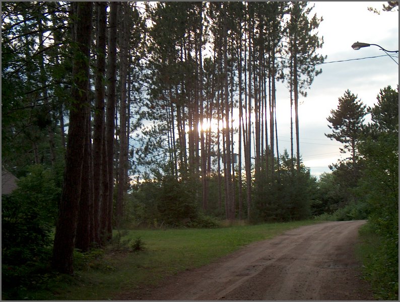 Sunset In The Pines.jpg