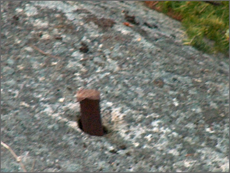 Survey Stake.jpg