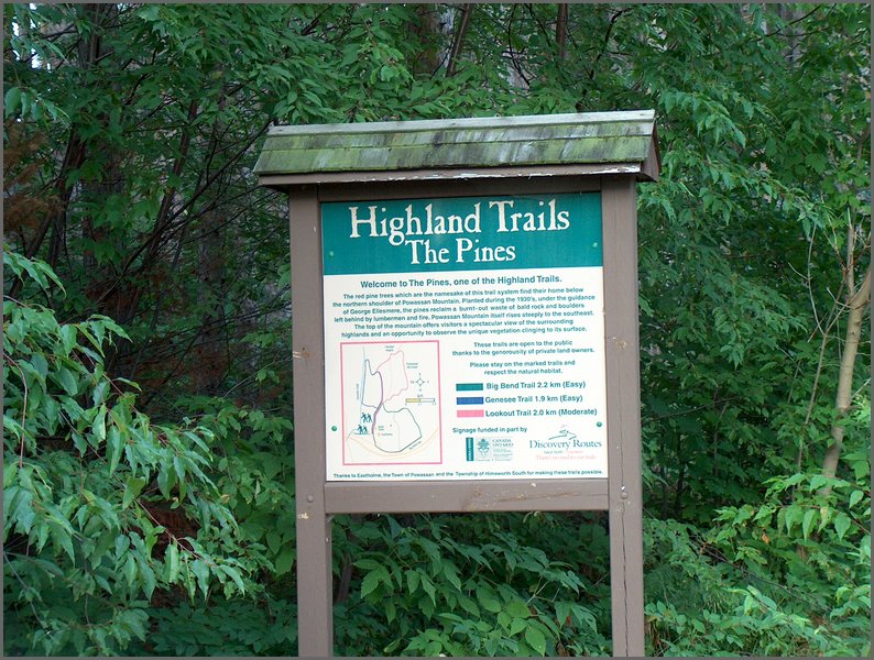 The Pines Trails.jpg