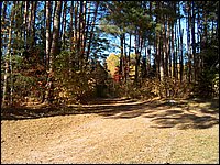 Road To Old Pumphouse.jpg