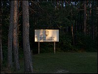 Sign In The Pines.jpg
