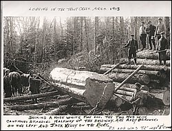 Logging in Trout Creek Area 1913.jpg