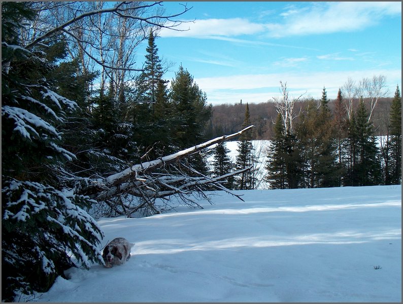 Mud Lake Dec 2003_12.JPG