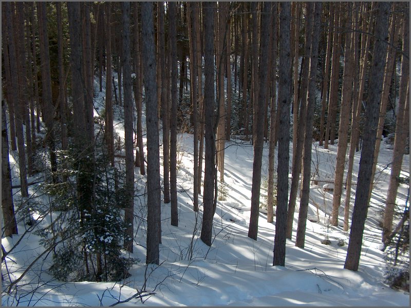 Hpim0183.jpg