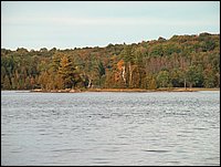The Island On Wolfe Lake.JPG