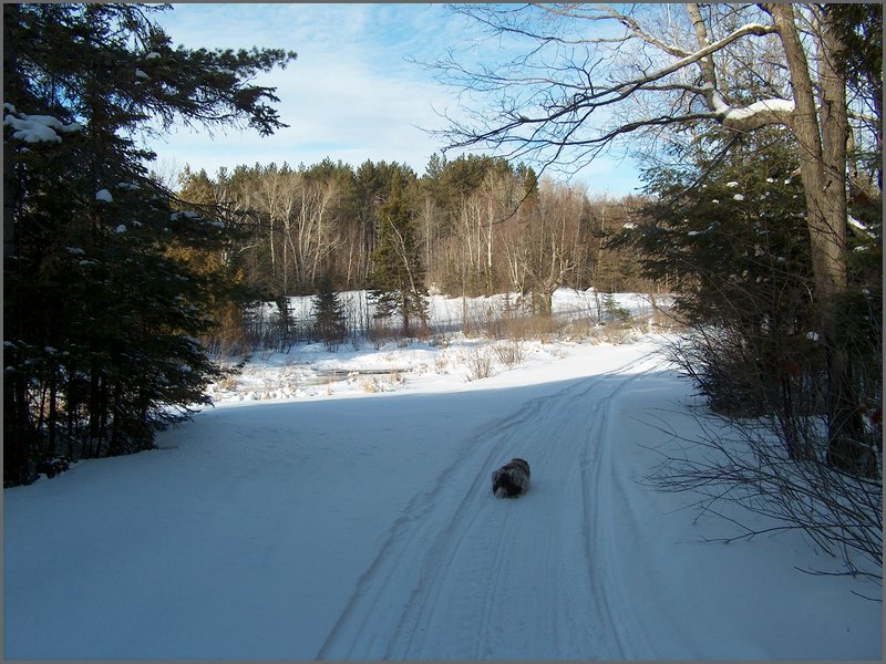January 2005 36.jpg