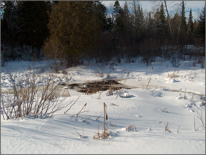January 2005 40.jpg