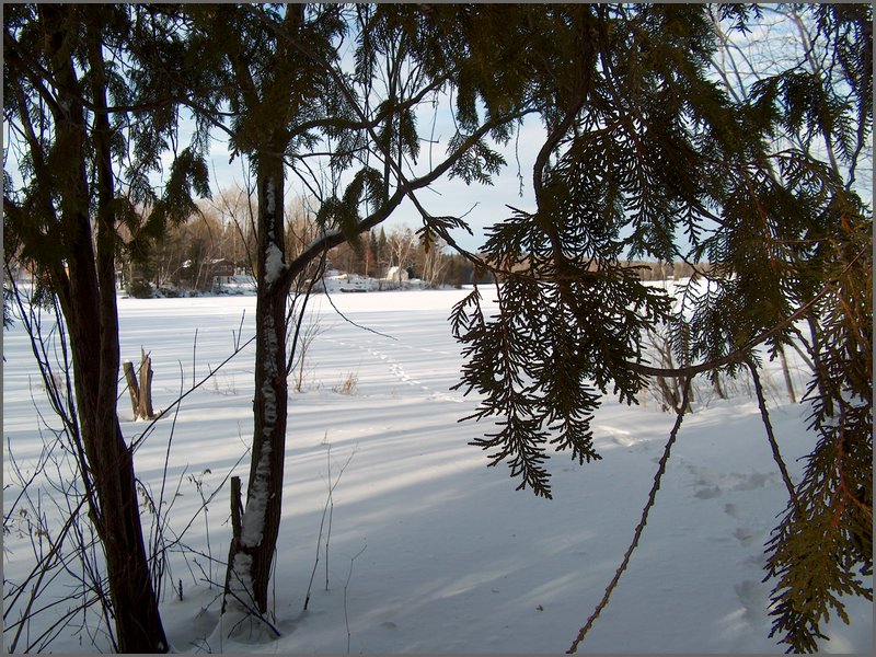January 2005 74.jpg